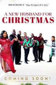 A New Husband for Christmas 2020 on netflix