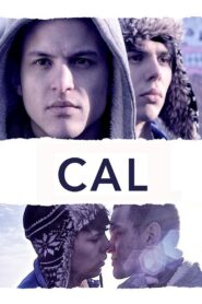 Cal 2013 on netflix