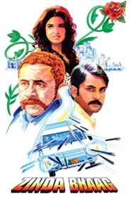 Zinda Bhaag 2013 on netflix