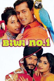Biwi No.1 1999 on netflix