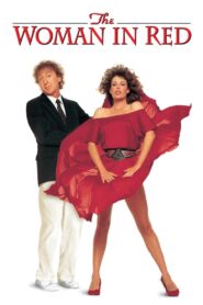 The Woman in Red 1984 on netflix