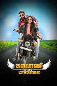 Kalavani Mappillai 2018 on netflix