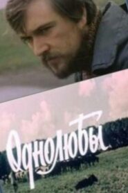 One True Love 1983 on netflix