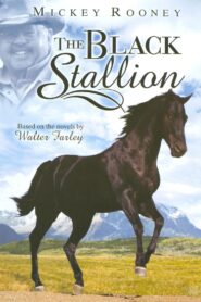 Adventures of the Black Stallion 1990 on netflix
