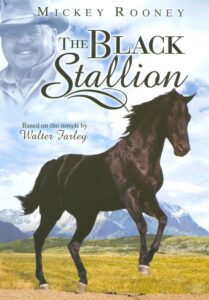 Adventures of the Black Stallion 1990 on netflix
