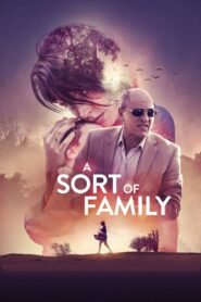 A Sort of Family 2017 on netflix