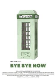 Bye Bye Now 2009 on netflix