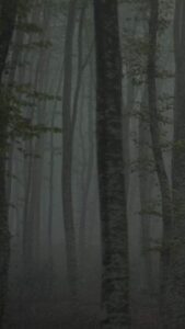 Refuge II: The Ice Path 2018 on netflix