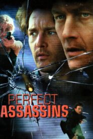Perfect Assassins 1998 on netflix