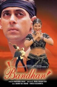 Bandhan 1998 on netflix