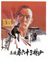 Return to the 36th Chamber 1980 on netflix