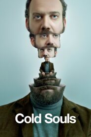 Cold Souls 2009 on netflix