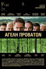 Pack of Sheep 2022 on netflix
