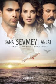 Wings of Love 2016 on netflix