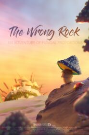 The Wrong Rock 2018 on netflix