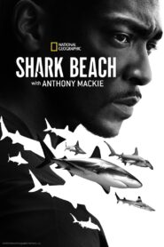 Shark Beach with Anthony Mackie 2024 on netflix