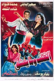 What the Heart Wants 1996 on netflix