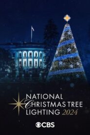National Christmas Tree Lighting 2024 on netflix