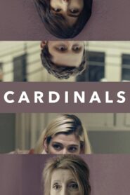 Cardinals 2017 on netflix