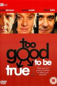 Too Good to Be True 2003 on netflix