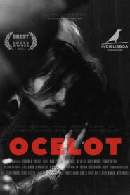 Ocelot 2022 on netflix