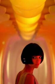 There’s Only One Sun 2007 on netflix