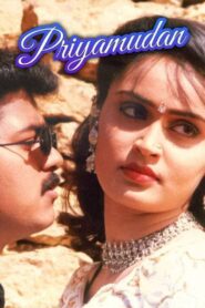 Priyamudan 1998 on netflix