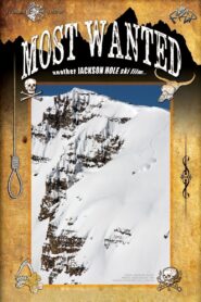 Most Wanted 2012 on netflix