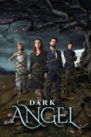 Dark Angel 2019 on netflix