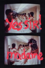 Yes Sir! Madame… 1994 on netflix