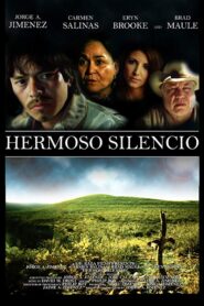 Hermoso Silencio 2010 on netflix