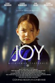 Joy 2016 on netflix