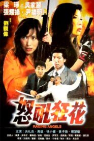 Raging Angels 1998 on netflix