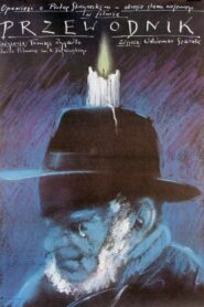 Przewodnik 1984 on netflix