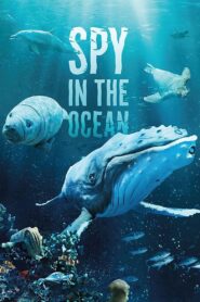 Spy in the Ocean, A Nature Miniseries 2023 on netflix