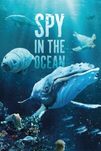 Spy in the Ocean, A Nature Miniseries 2023 on netflix