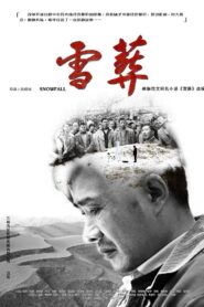 Snowfall 2018 on netflix
