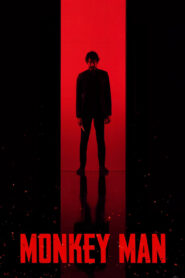 Monkey Man 2024 on netflix