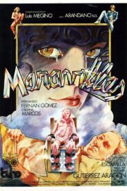 Maravillas 1981 on netflix