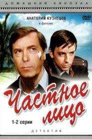 Частное лицо 1980 on netflix