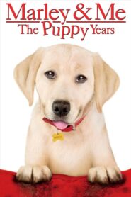 Marley & Me: The Puppy Years 2011 on netflix