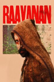 Raavanan 2010 on netflix
