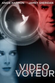 Video Voyeur: The Susan Wilson Story 2002 on netflix