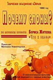 Почему слоны? 1980 on netflix