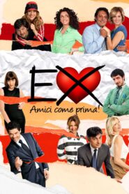 Ex 2: Still Friends 2011 on netflix
