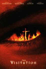 The Visitation 2006 on netflix