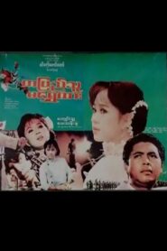 Ta Pyi Thu Ma Shwe Htar 1994 on netflix