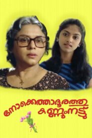 Nokkethadhoorathu Kannum Nattu 1984 on netflix