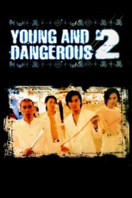 Young and Dangerous 2 1996 on netflix