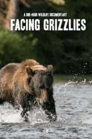 Facing Grizzlies 2022 on netflix